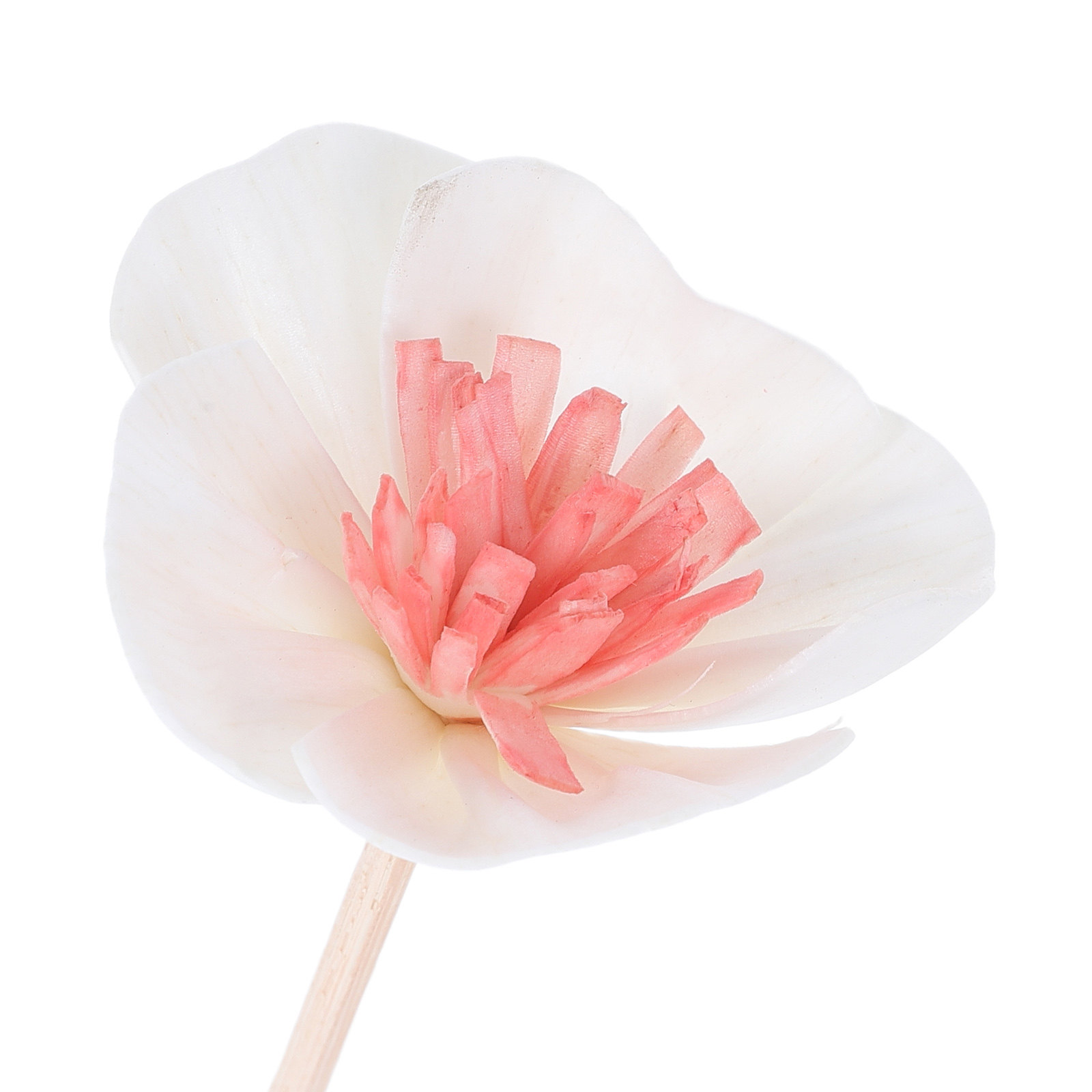 แท่งกระจายกลิ่นน้ำมันหอมระเหย  - Home Fragrance Diffusers บทวิจารณ์และราคา