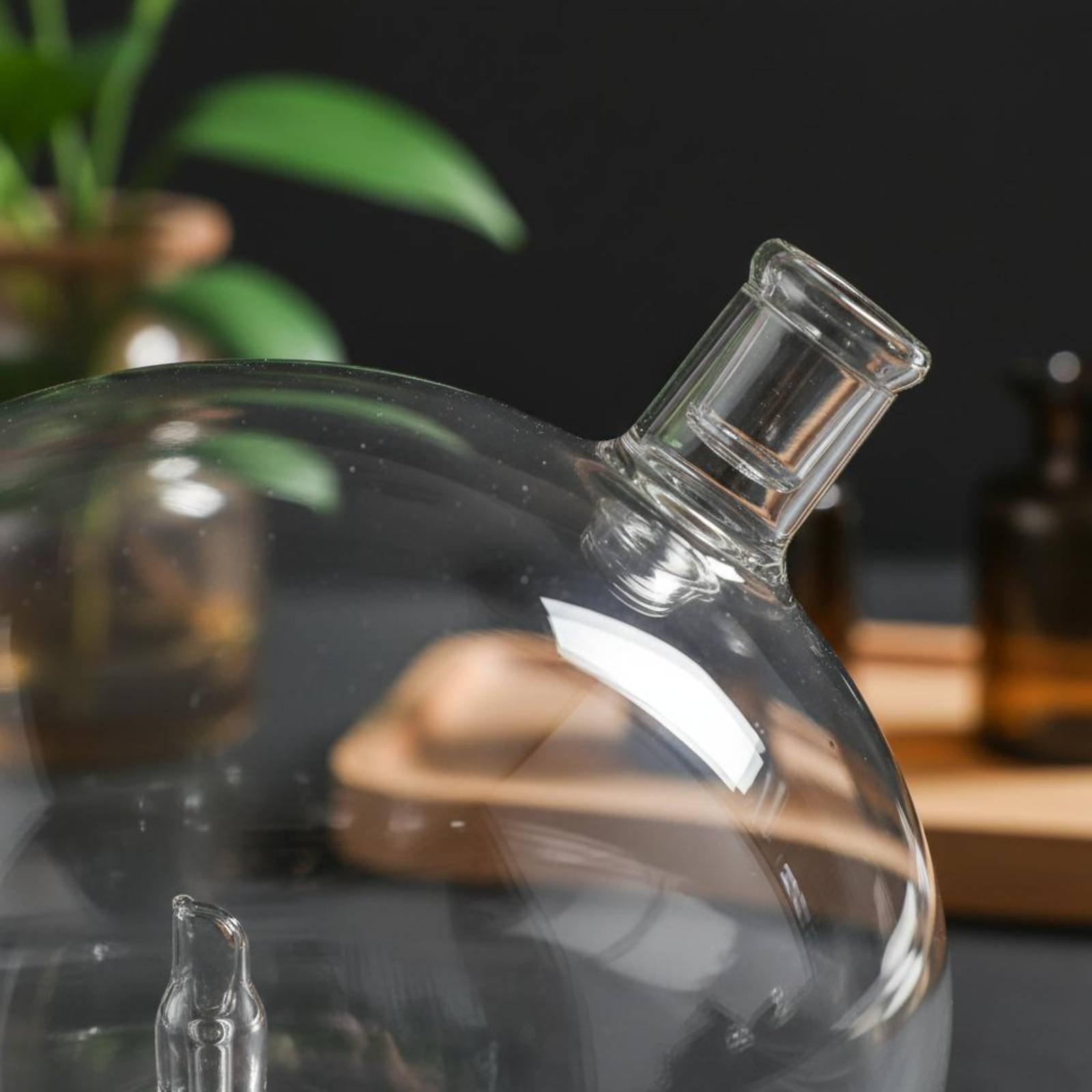 ขวดดิฟฟิวเซอร์แบบแก้ว ใช้แทนได - Home Fragrance Diffusers บทวิจารณ์และราคา